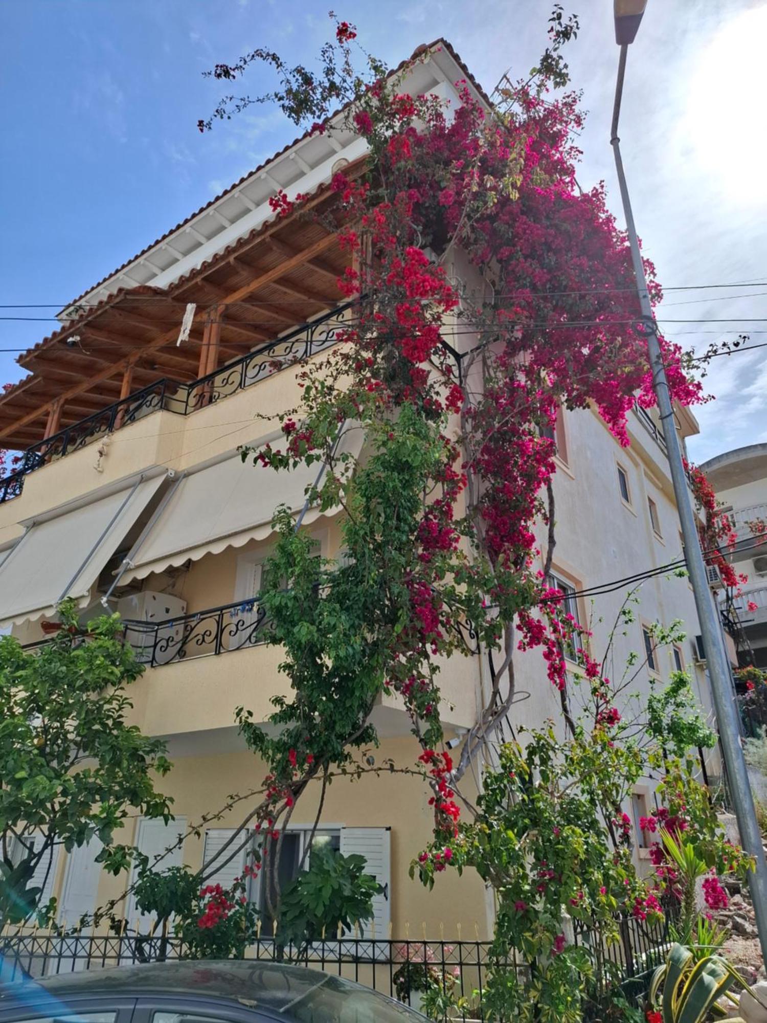 Vila Veli Brothers Sarandë 外观 照片